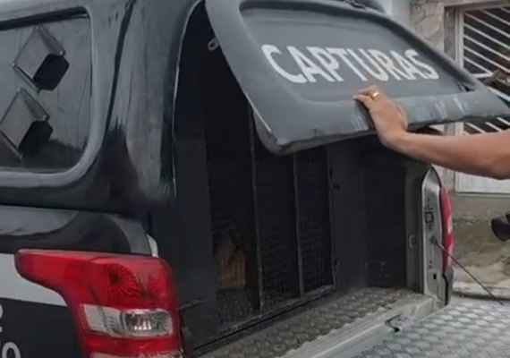 SSP deflagra Operação Morro do Alemão contra integrantes do Comando Vermelho