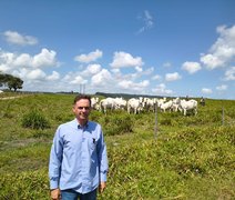 Nelore Positivo chega à 21ª edição com oferta de peso e genética testada a campo