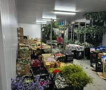 Sefaz apreende R$ 100 mil em flores sem nota fiscal em Alagoas