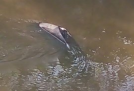 Veículo cai e fica submerso em rio após capotamento na AL-101/Norte