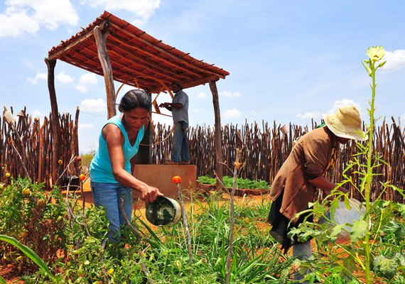 Prazo para regularização de dívidas de produtores rurais termina neste mês