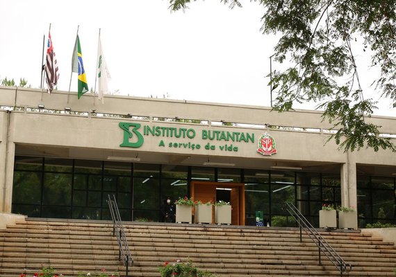 Butantan se prepara para testar vacina contra gripe aviária em humanos