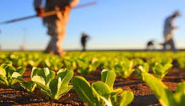 Novo programa possibilita renegociação de dívidas para produtores