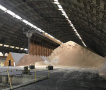 Produção de açúcar na safra 23/24 já supera meio milhão de toneladas