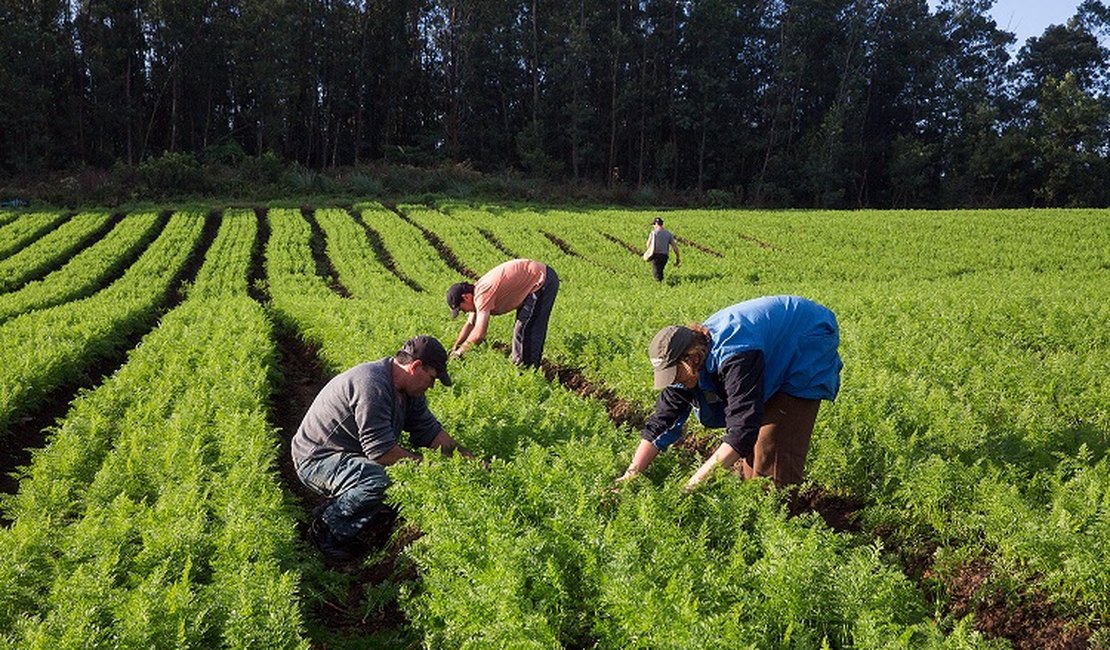 Questão ambiental será principal entrave para produtores rurais