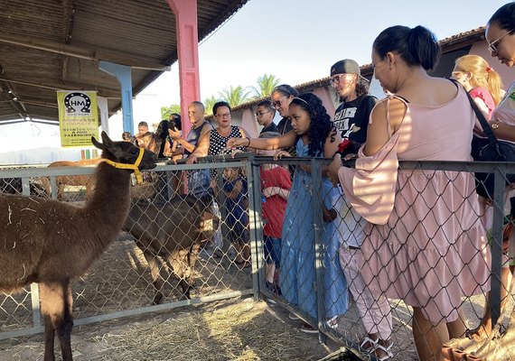 72ª Expoagro movimenta mais de R$ 20 milhões em negócios e recebe público de 40 mil na Pecuária