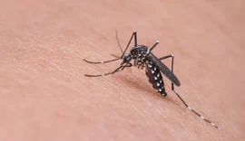 Alagoas receberá R$ 5,4 milhões para reforço no combate à dengue