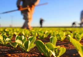 CRA visa alteração do cálculo de preços de produtos agrícolas