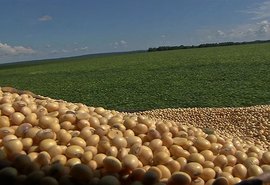 Plano Safra destaca seguro rural e pequenos agricultores