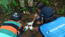 Conexão Voluntariguá da Agreste Saneamento leva educação ambiental e ações de acolhimento às comunidades da região