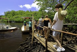 Press trip de Alagoas é 1ª iniciativa 100% livre de carbono neutro promovida pela Embratur