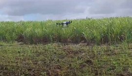 Usina Santo Antônio, em Alagoas, utiliza drones na aplicação de defensivos nas áreas de encosta