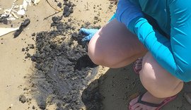 Pesquisadores da UFAL coletam novas mostras de água no Litoral Sul