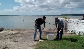 Excesso de chuva pode ser a causa da mortandade de peixes na Mundaú, aponta IMA