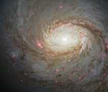 Astrônomos observam e medem tamanho da maior galáxia já conhecida