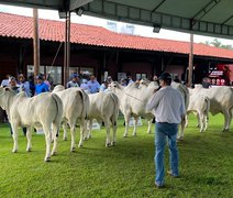 Expoalagoas Genética alcança faturamento de R$ 4 milhões, informa ACA