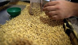 Depois do arroz, governo estuda agora reduzir imposto de soja importada