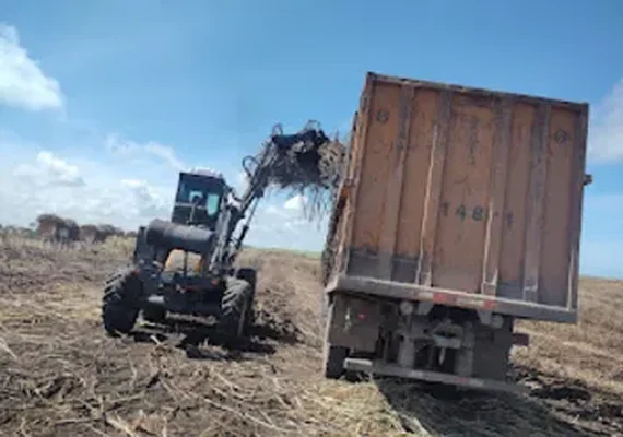 Apesar da safra de crescimento, fornecedores amargam queda na produção em Alagoas