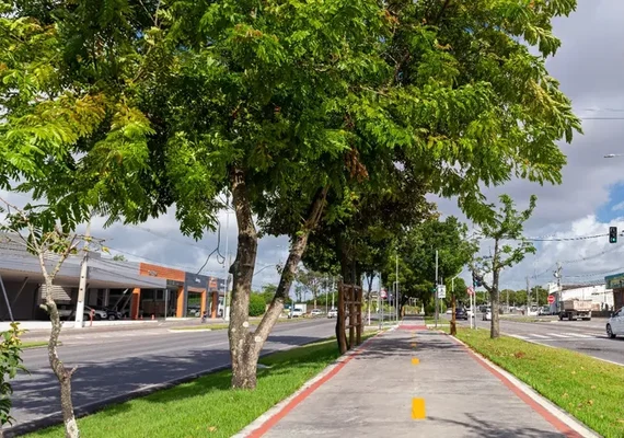 Ciclovia da Avenida Durval de Góes Monteiro é concluída e reforça mobilidade urbana