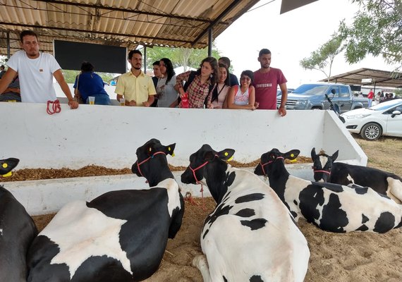 38º Expobacia Leiteira acontecerá de 6 a 9 de outubro no município de Batalha