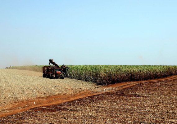 IBGE estima novo recorde para safra agrícola do país em comparação ao ano passado