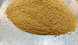 Pesquisa desenvolve açúcar de cana com baixo indíce glicêmico