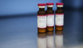 Brasil tem 9.898 casos de sarampo confirmados neste ano