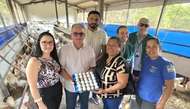 Arapiraca fortalece inspeção sanitária e garante qualidade na produção de ovos