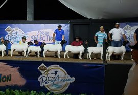 3º Leilão Pé na Areia fatura R$ 415 mil durante Edição Selection