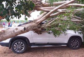 Pancadas de chuva deixam rastro de destruição e alagamentos no interior de Alagoas