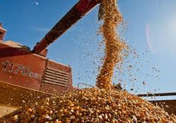 É previsto aumento de 30% na safra de grãos