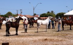 Evento se inicia no próximo sábado (23).