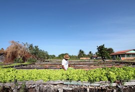 Desenrola Rural pode beneficiar mais de 360 mil agricultores atendidos pelo Banco do Nordeste