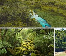 ﻿Alagoas se destaca entre destinos para quem busca contato com a natureza