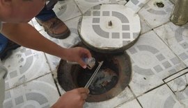 Saúde orienta população sobre prevenção de picadas de escorpião