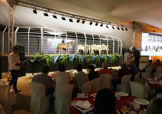 Leilão Nelore Positivo oferta o melhor da genética CPMF