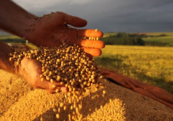 Governo reduz alíquotas de importação de insumos para produção agrícola