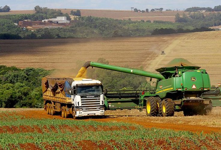 Crédito rural cresce 7% no Plano Safra 2025/2026