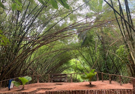 Parques de Maceió terão horário especial durante a Semana Santa; confira