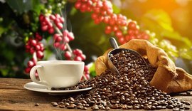 Preço do café despenca no Brasil mesmo com expectativa de alta na produção do robusta