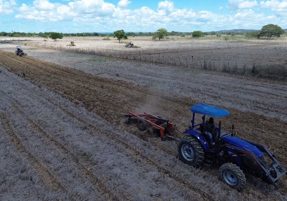 Plantio de arroz em Penedo deve triplicar em 2026 e movimentar R$ 2,2 mi