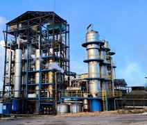 Cooperativa Pindorama abre a safra 26/27 em Alagoas