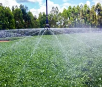 CNA reage a proposta do governo e pede que produtor mantenha escolha do horário do desconto na energia