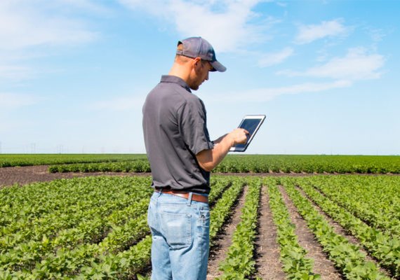 Programa AgroHub Brasil amplia soluções de inovação e tecnologia no campo