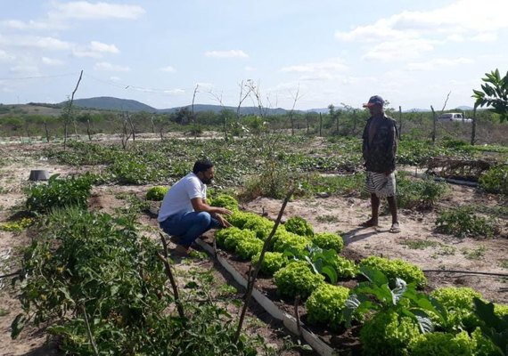 Emater realizou mais de 175 mil atendimentos aos agricultores familiares em 2021