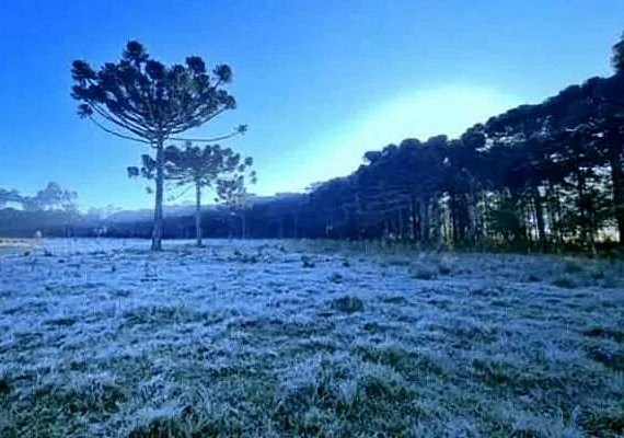 Santa Catarina registra menor temperatura do Brasil em 2022