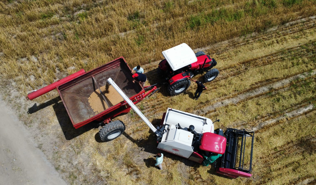 Agro bate recorde de empregos no 3º trimestre de 2025