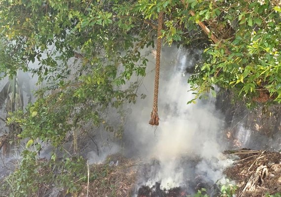 Polícia Militar atua em incêndio na Área de Preservação de Fernão Velho
