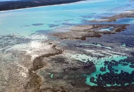 'Caribe brasileiro': por que idas à Lagoa Azul em Maragogi foram proibidas