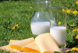 Custo de produção do leite aumenta 1,6% em outubro